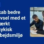 Psykisk arbejdsmiljø og trivsel på arbejdspladsen