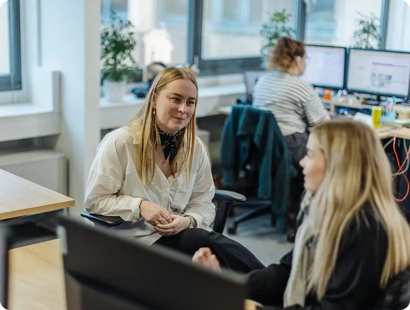 Den offentlige sektor